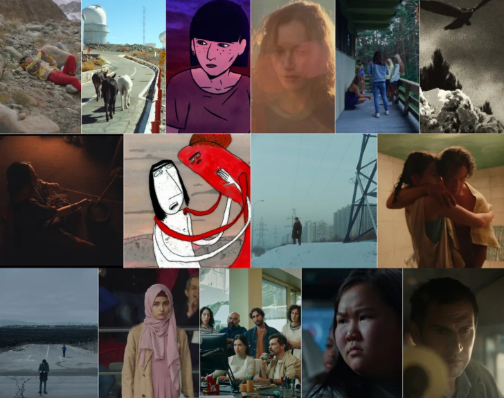 5. 首映要求 下方 .jpg